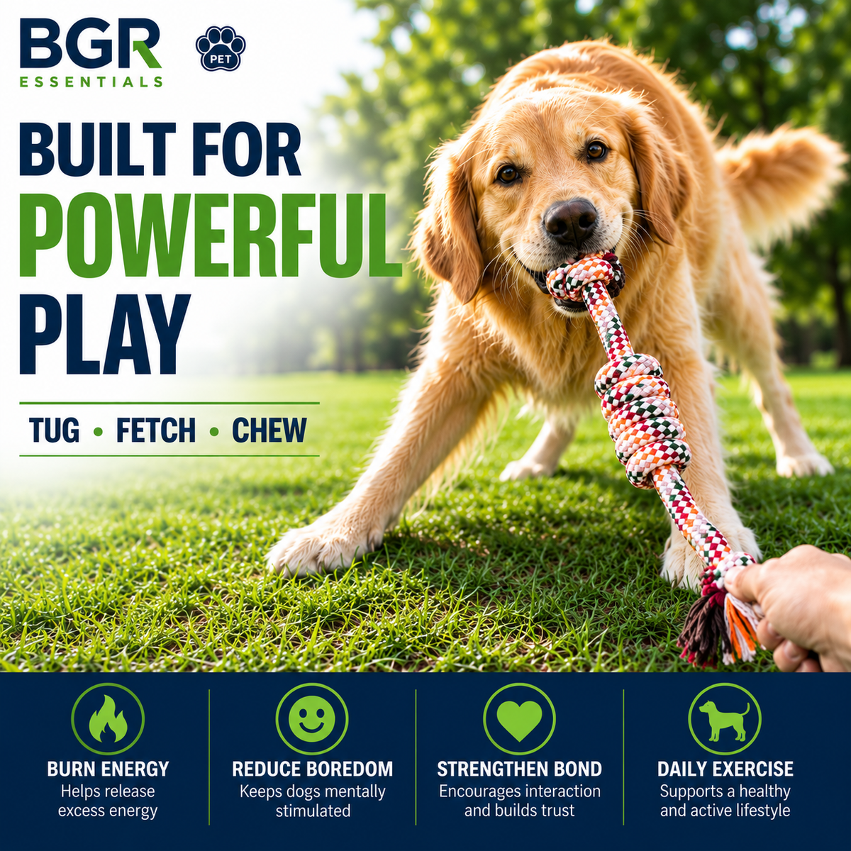 Heavy Duty Cotton Rope Dog Toys – 6 Pack